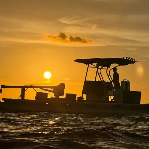 Sunset Boat On Tampa Bay